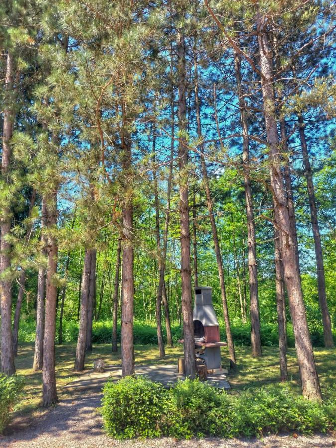 Vacation Home Keskic Velika Gata ภายนอก รูปภาพ